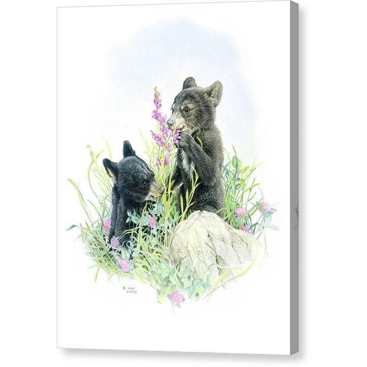Black Bear Cubs in Grass - Canvas Print | Artwork by Glen Loates