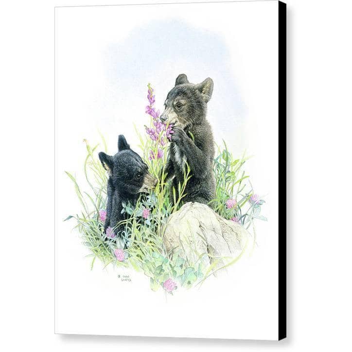 Black Bear Cubs in Grass - Canvas Print | Artwork by Glen Loates