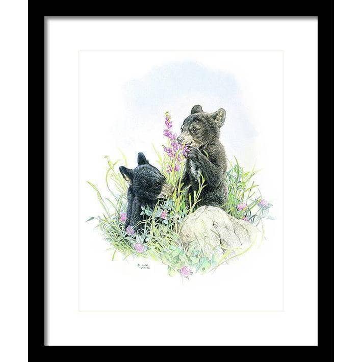 Black Bear Cubs in Grass - Framed Print | Artwork by Glen Loates