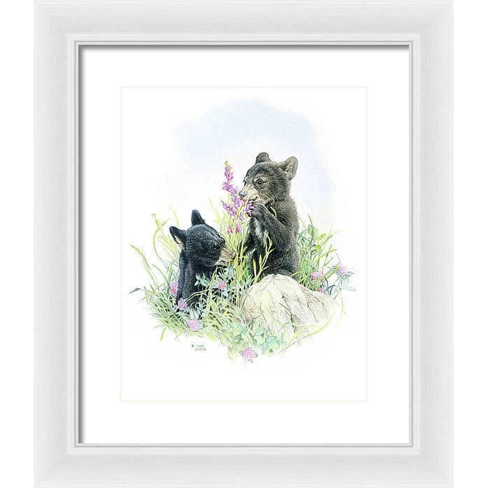 Black Bear Cubs in Grass - Framed Print | Artwork by Glen Loates