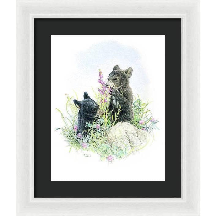 Black Bear Cubs in Grass - Framed Print | Artwork by Glen Loates