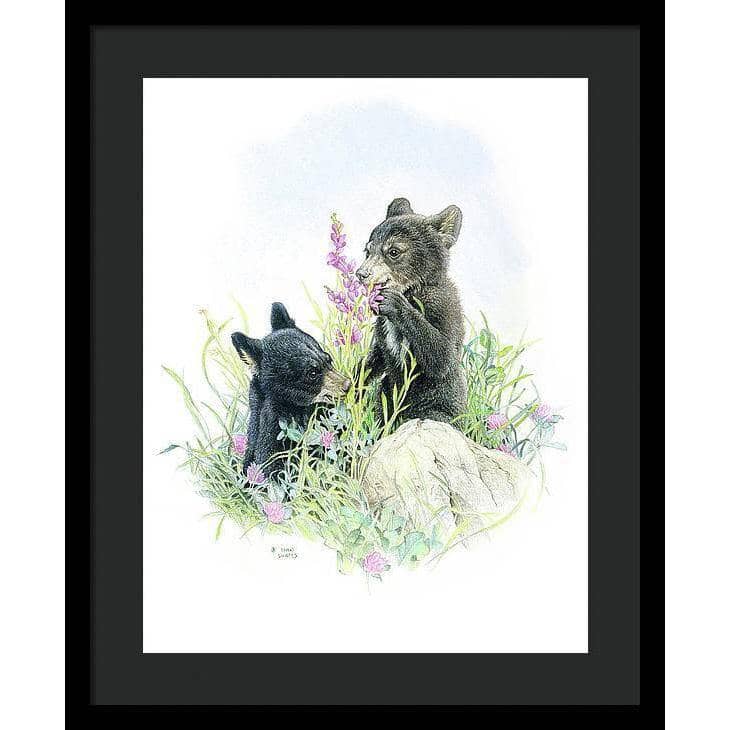 Black Bear Cubs in Grass - Framed Print | Artwork by Glen Loates