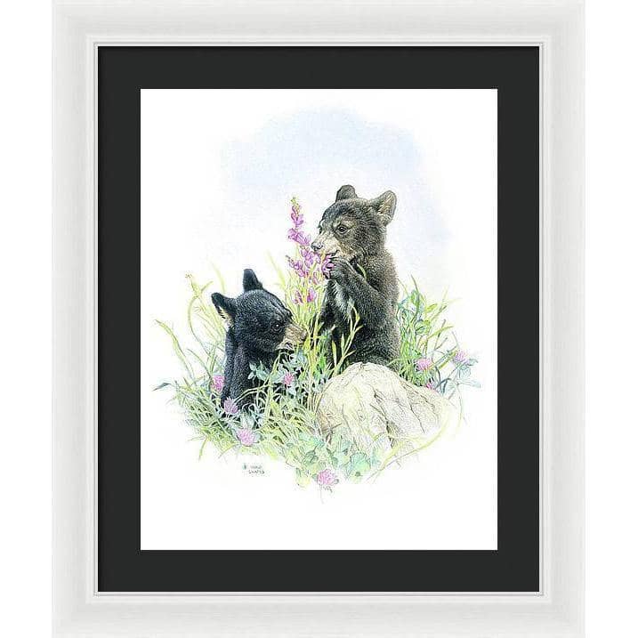 Black Bear Cubs in Grass - Framed Print | Artwork by Glen Loates