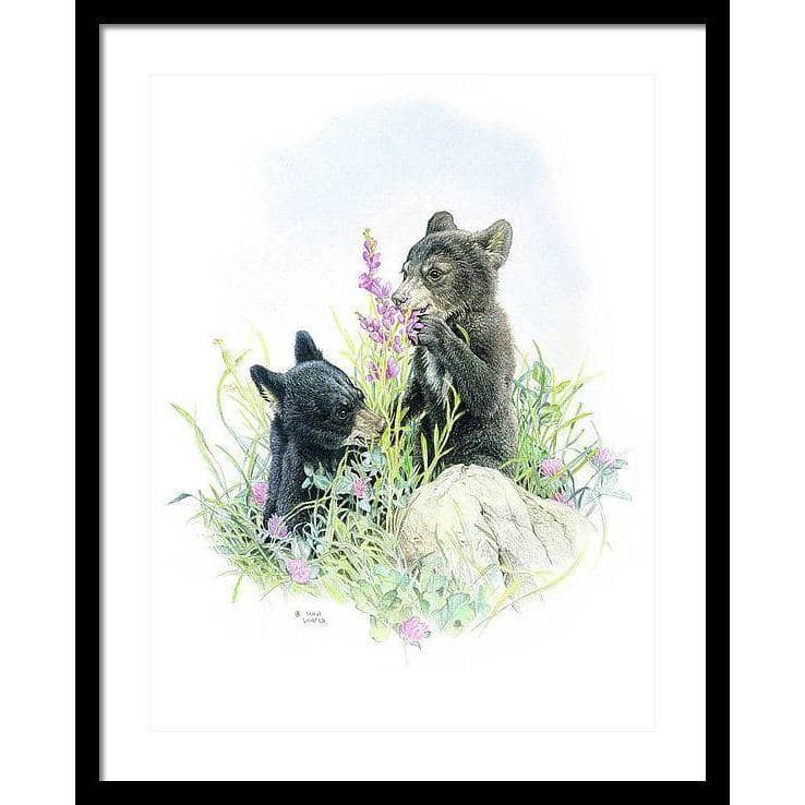 Black Bear Cubs in Grass - Framed Print | Artwork by Glen Loates