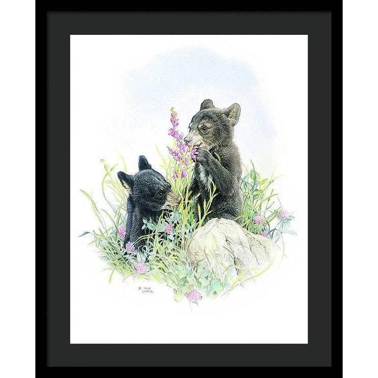 Black Bear Cubs in Grass - Framed Print | Artwork by Glen Loates