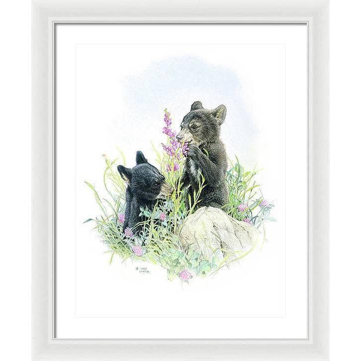 Black Bear Cubs in Grass - Framed Print | Artwork by Glen Loates