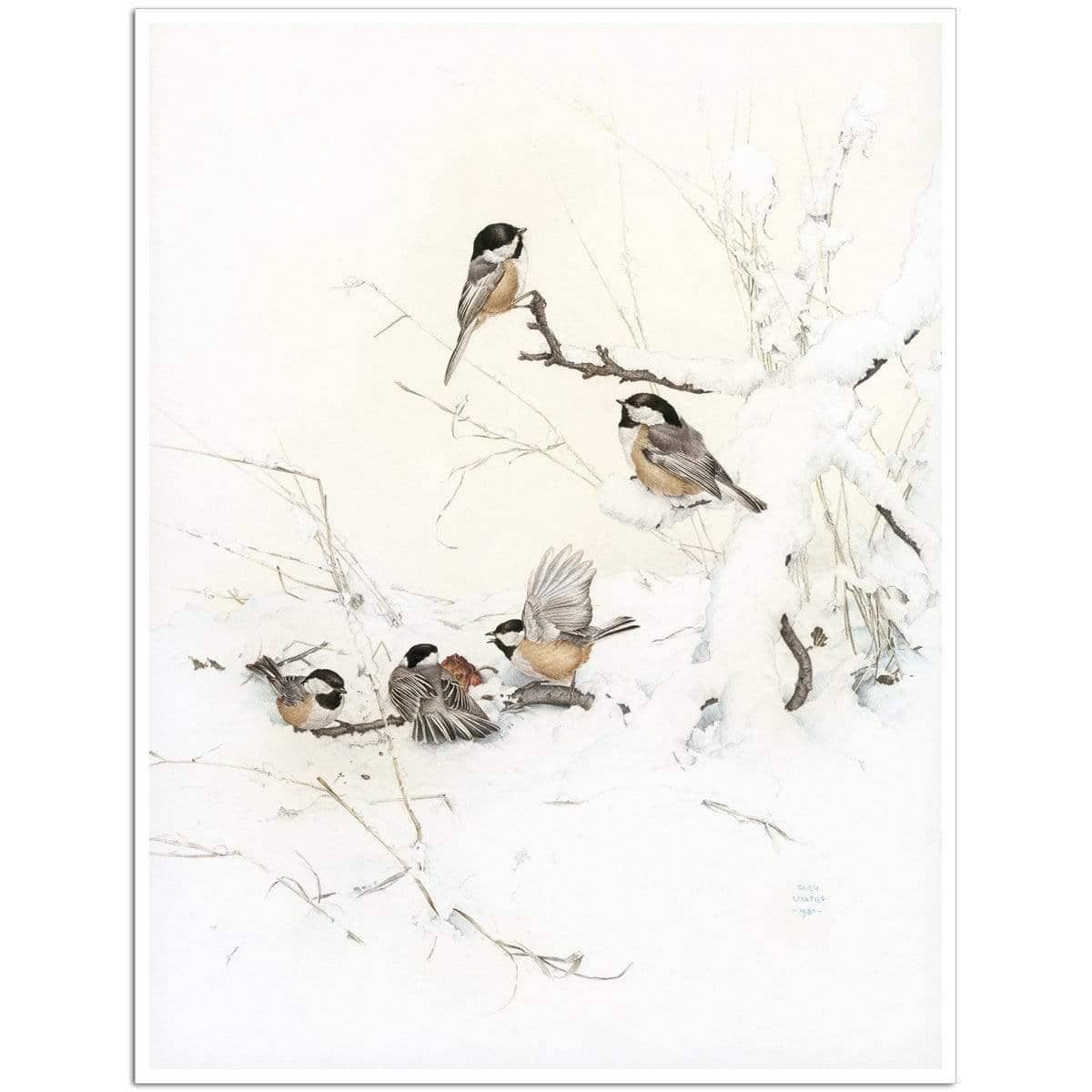 Black-Capped Chickadees - Art Print | Artwork by Glen Loates