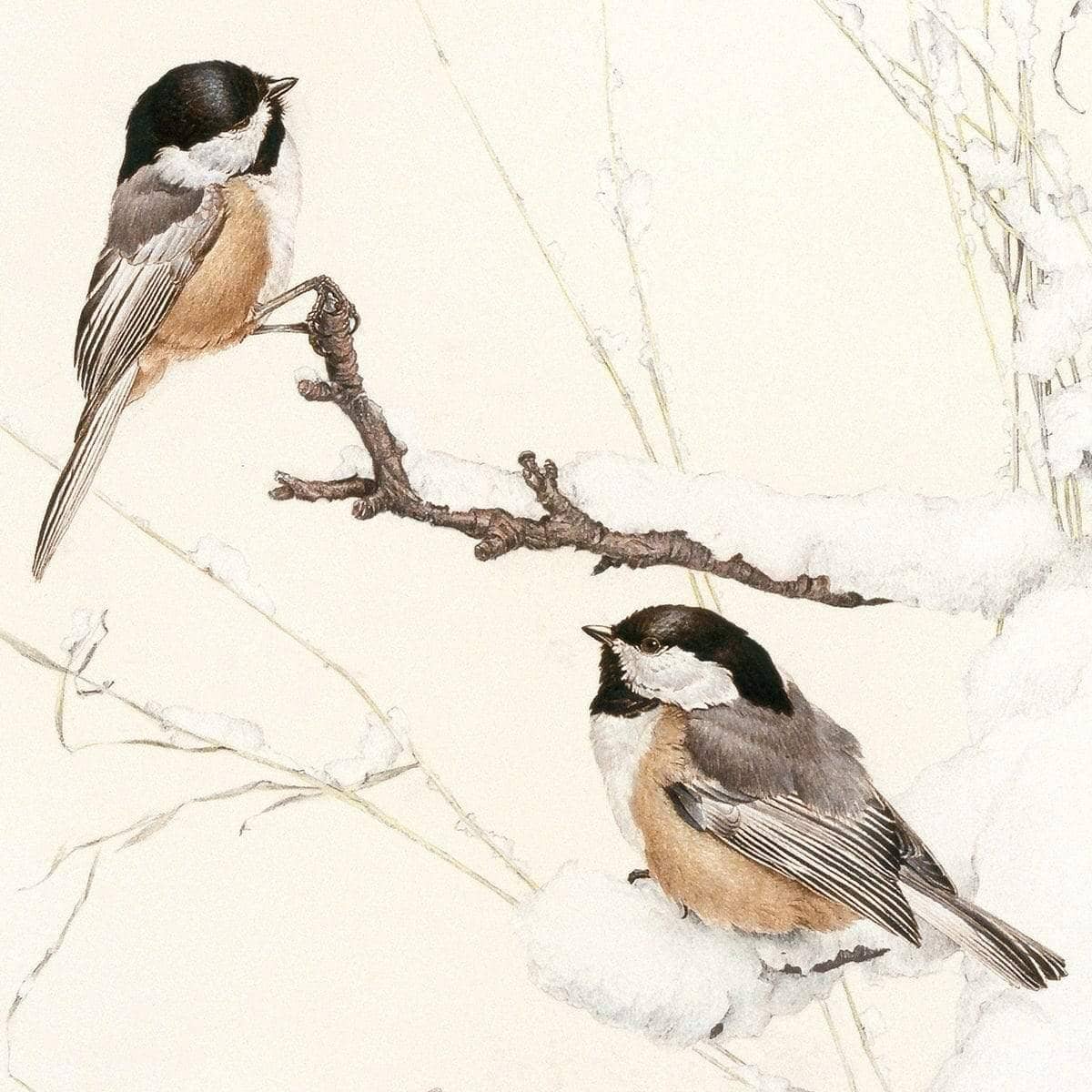 Black-Capped Chickadees - Art Print | Artwork by Glen Loates