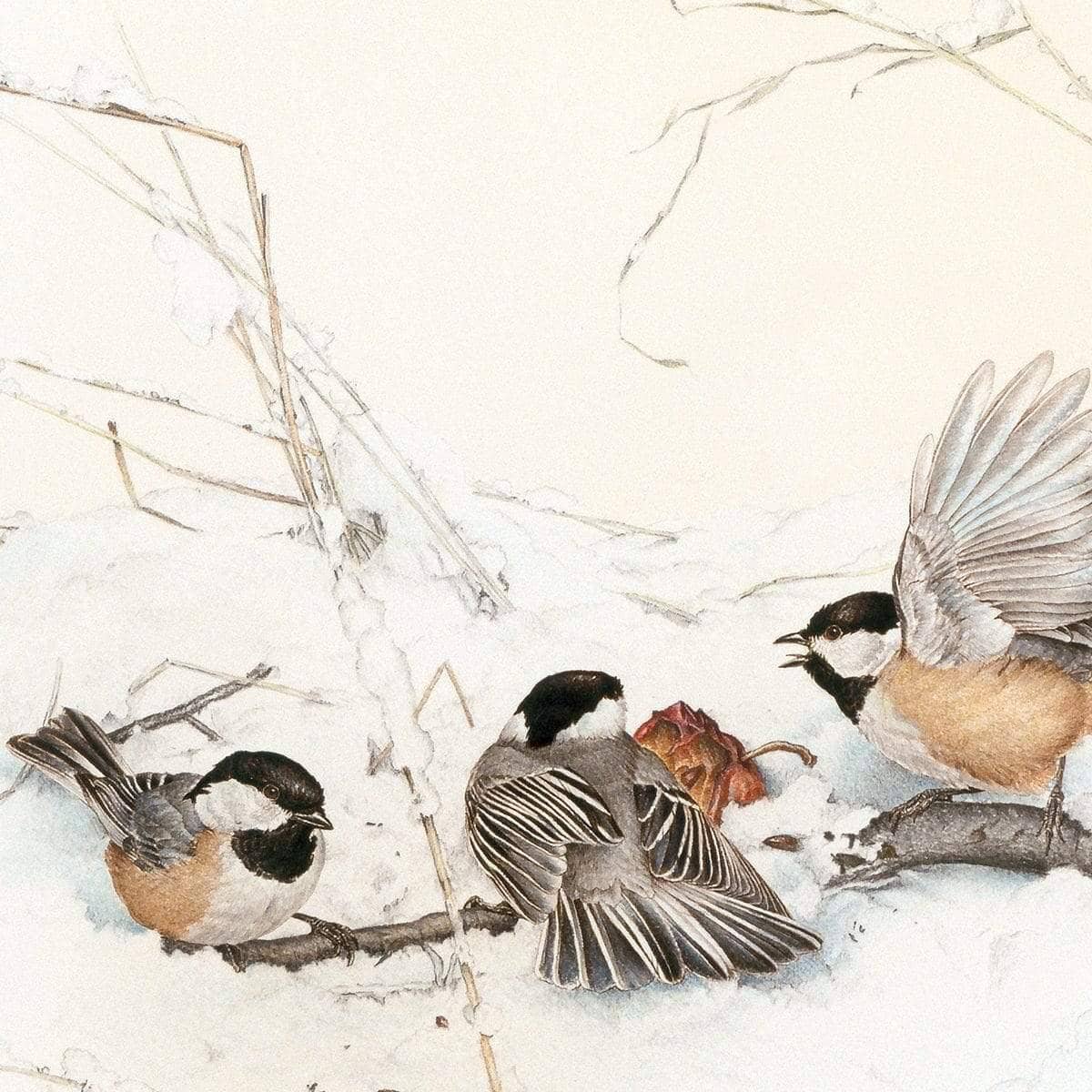 Black-Capped Chickadees - Canvas Print | Artwork by Glen Loates