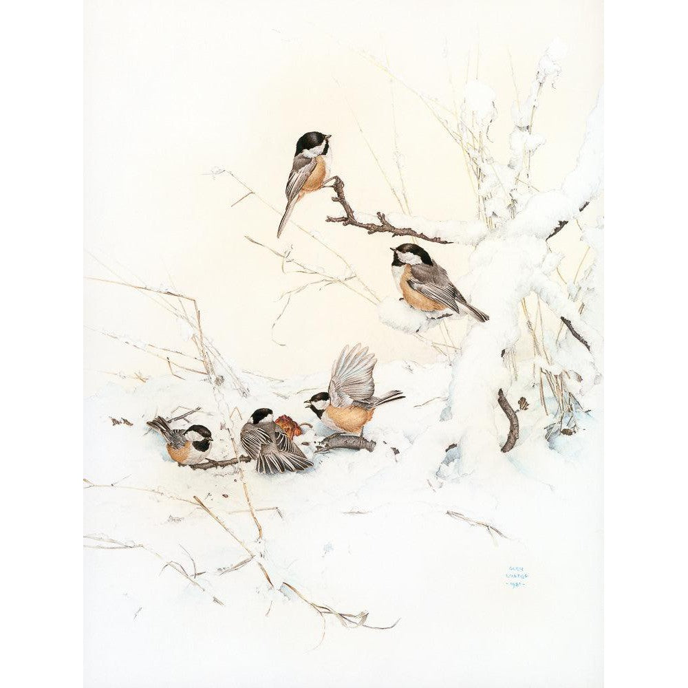 Black-Capped Chickadees - Canvas Print | Artwork by Glen Loates