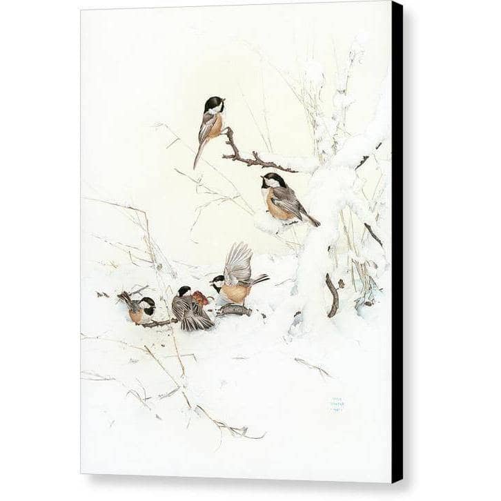 Black-Capped Chickadees - Canvas Print | Artwork by Glen Loates