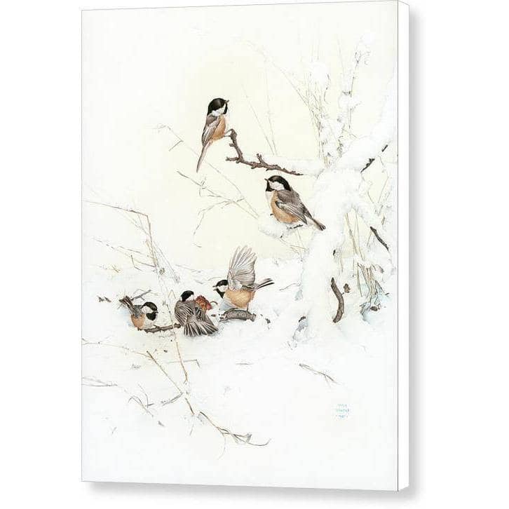 Black-Capped Chickadees - Canvas Print | Artwork by Glen Loates