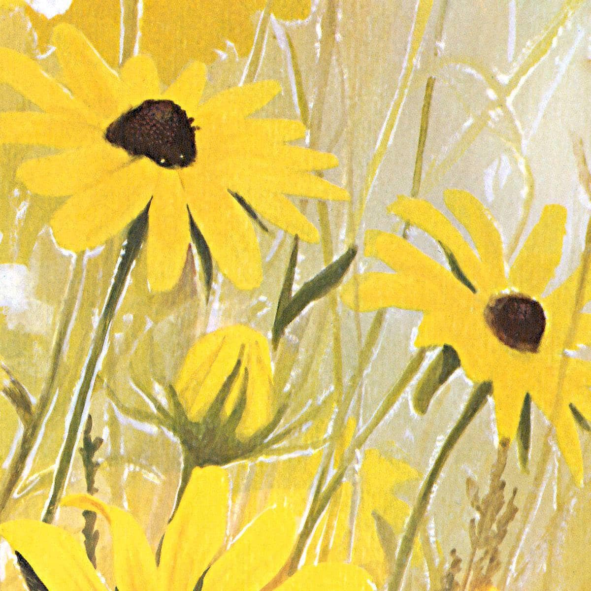 Black Eyed Susan - Canvas Print | Artwork by Glen Loates