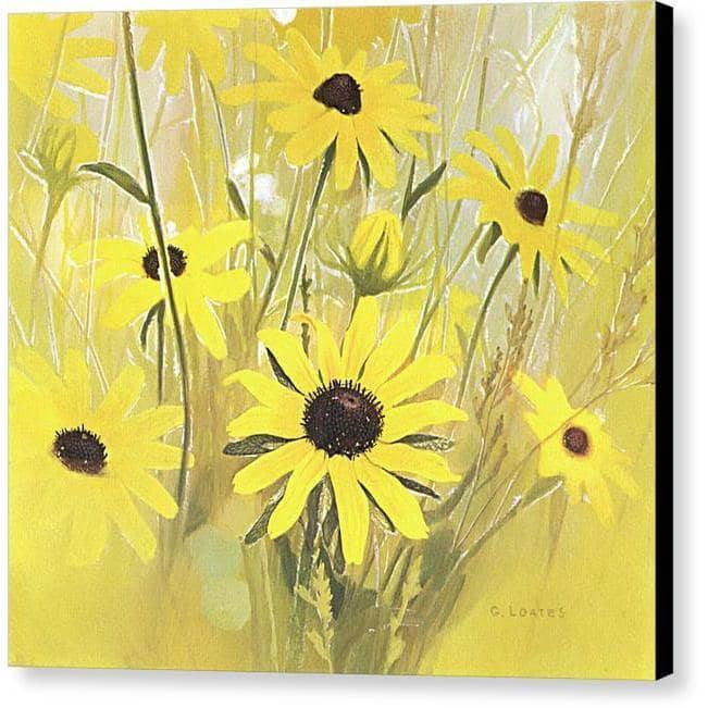 Black Eyed Susan - Canvas Print | Artwork by Glen Loates