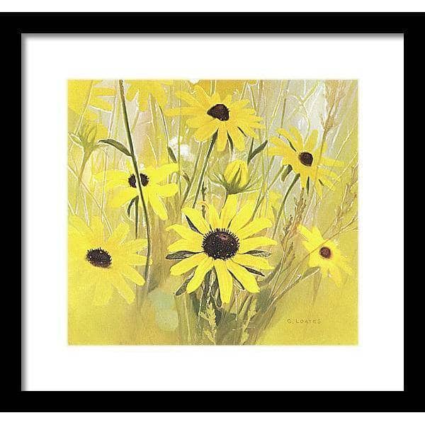 Black Eyed Susan - Framed Print | Artwork by Glen Loates