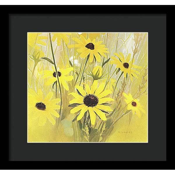 Black Eyed Susan - Framed Print | Artwork by Glen Loates