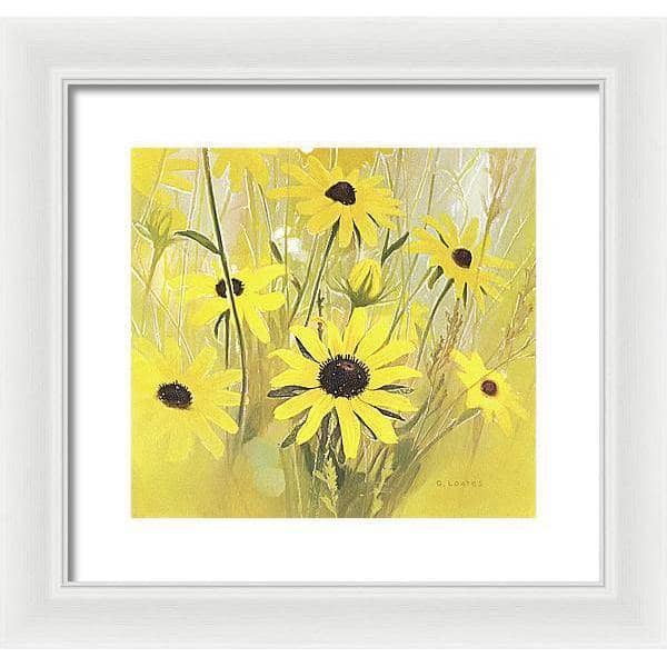 Black Eyed Susan - Framed Print | Artwork by Glen Loates