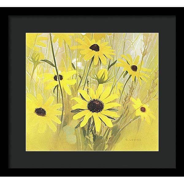 Black Eyed Susan - Framed Print | Artwork by Glen Loates