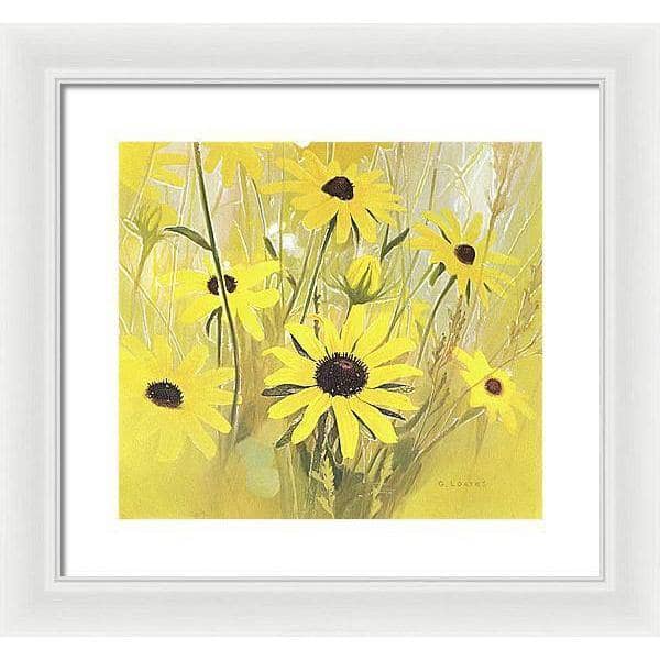 Black Eyed Susan - Framed Print | Artwork by Glen Loates