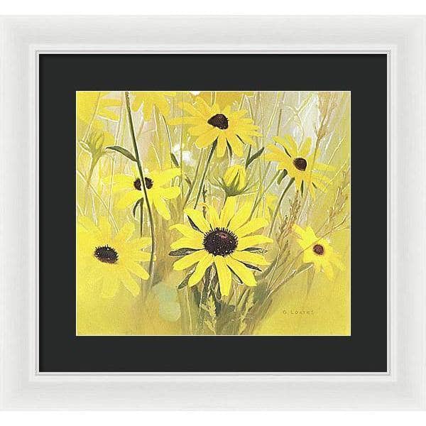 Black Eyed Susan - Framed Print | Artwork by Glen Loates