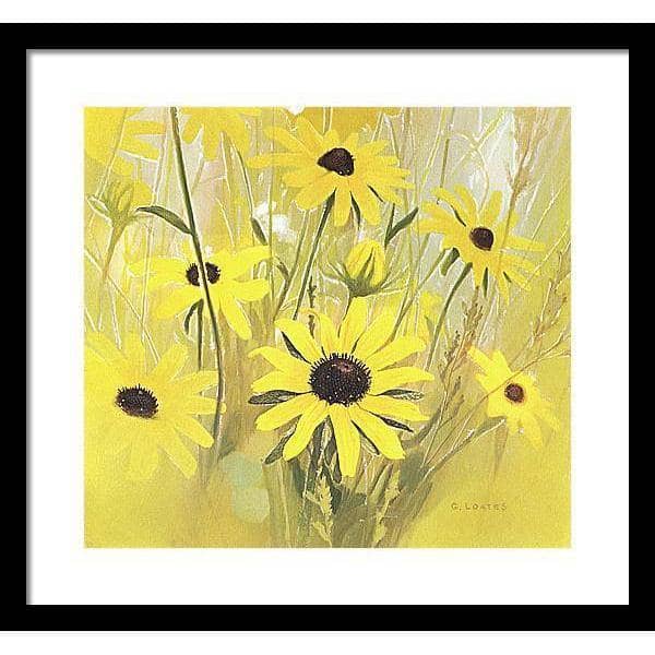 Black Eyed Susan - Framed Print | Artwork by Glen Loates
