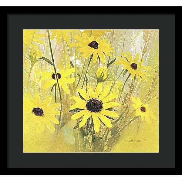 Black Eyed Susan - Framed Print | Artwork by Glen Loates