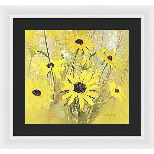 Black Eyed Susan - Framed Print | Artwork by Glen Loates