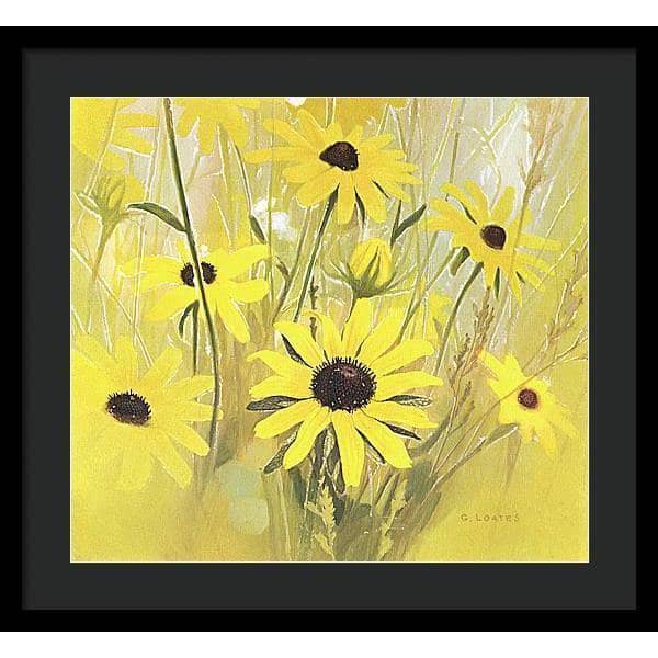 Black Eyed Susan - Framed Print | Artwork by Glen Loates