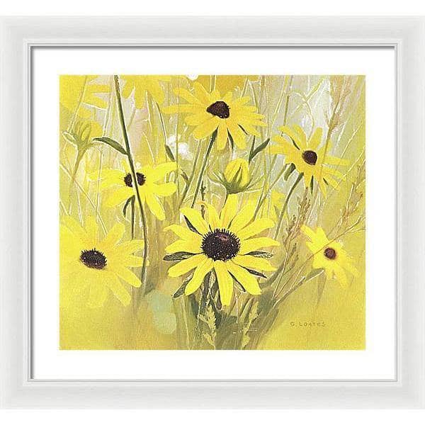 Black Eyed Susan - Framed Print | Artwork by Glen Loates