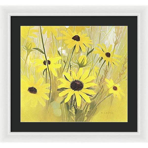 Black Eyed Susan - Framed Print | Artwork by Glen Loates