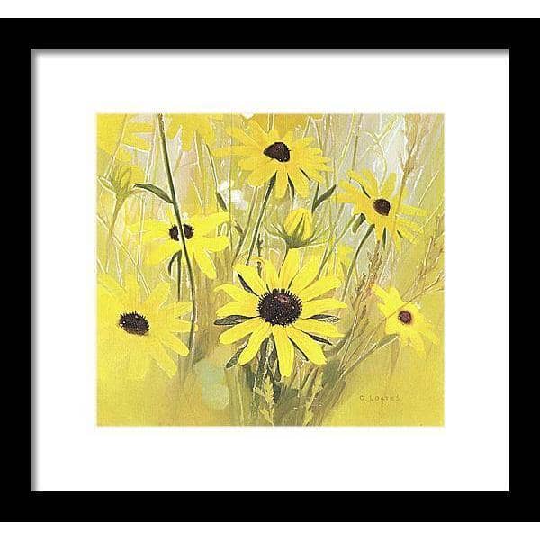 Black Eyed Susan - Framed Print | Artwork by Glen Loates