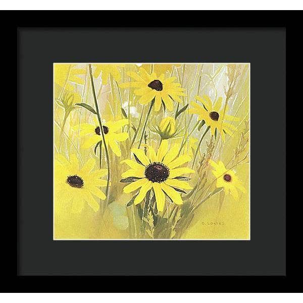 Black Eyed Susan - Framed Print | Artwork by Glen Loates