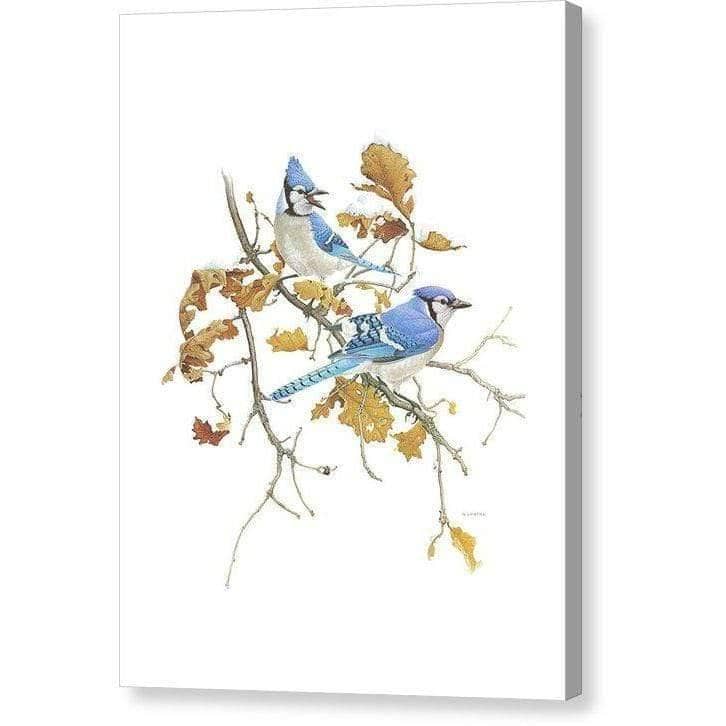 Blue Jays - Canvas Print | Artwork by Glen Loates