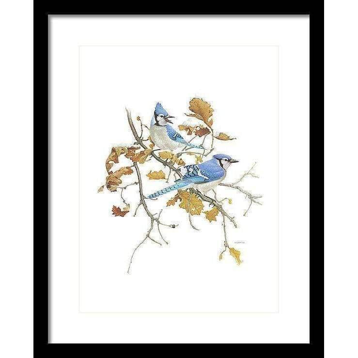 Blue Jays - Framed Print | Artwork by Glen Loates