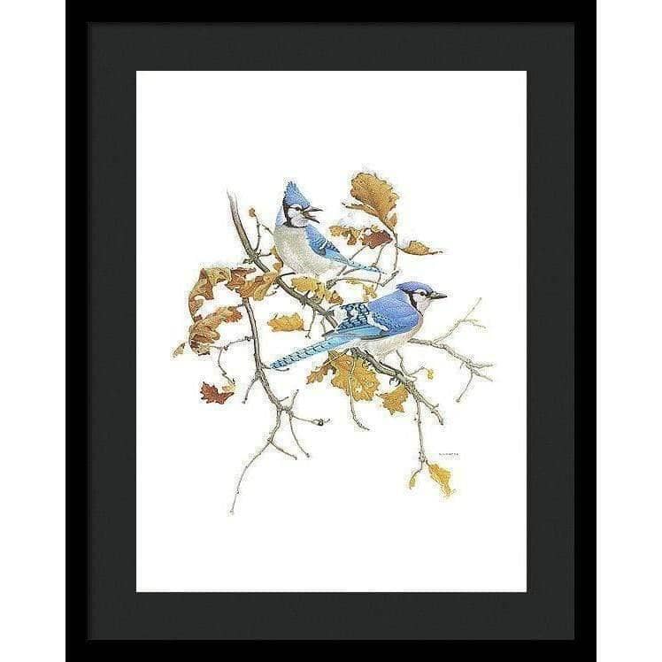 Blue Jays - Framed Print | Artwork by Glen Loates