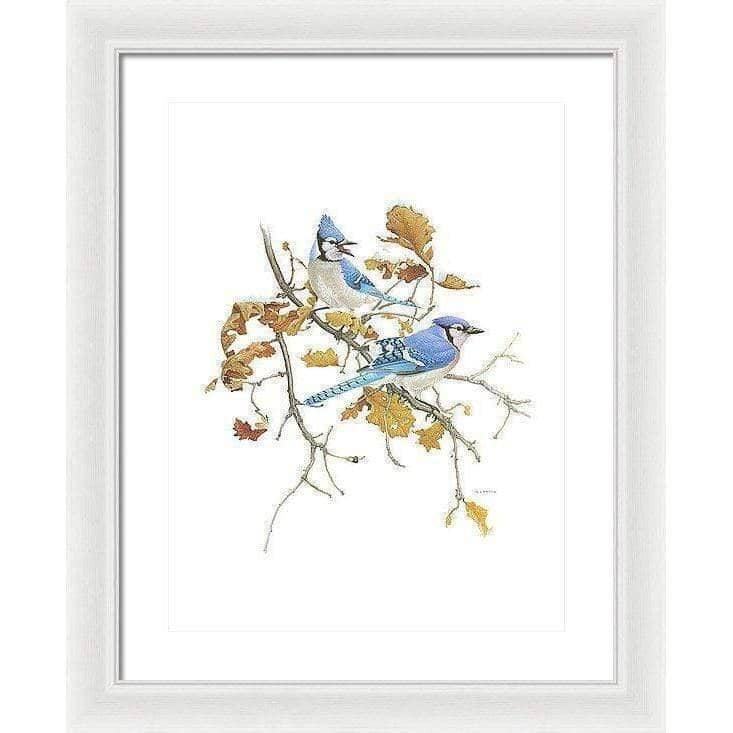 Blue Jays - Framed Print | Artwork by Glen Loates