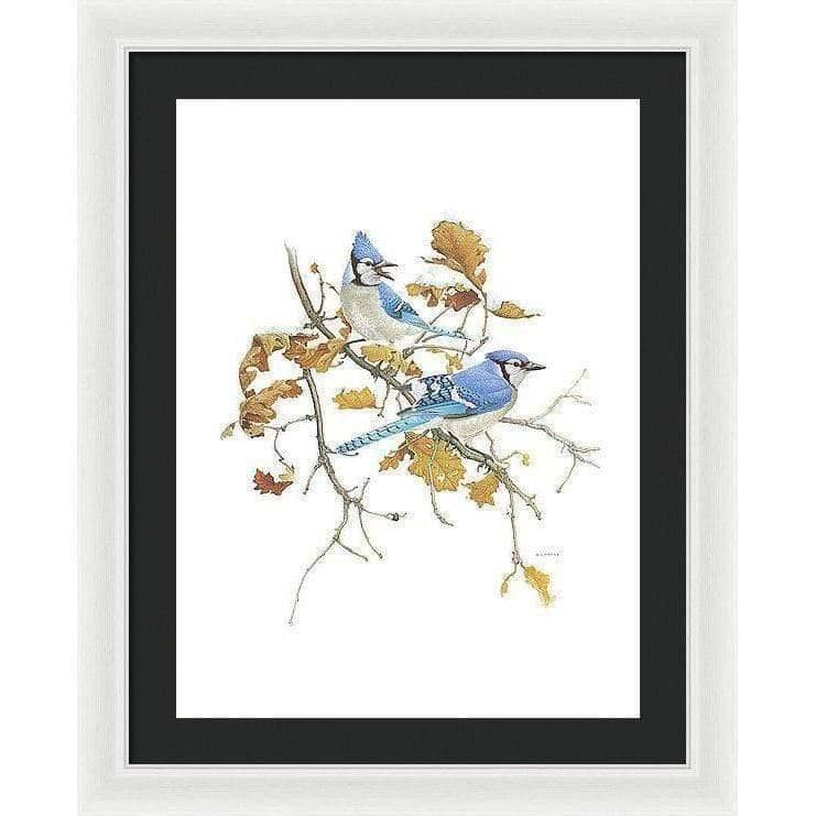Blue Jays - Framed Print | Artwork by Glen Loates