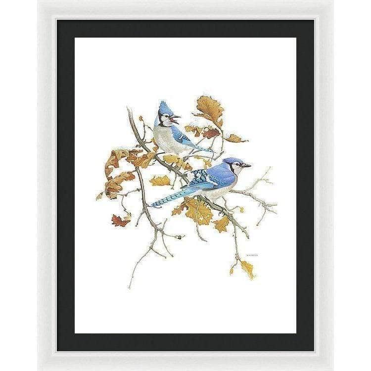 Blue Jays - Framed Print | Artwork by Glen Loates