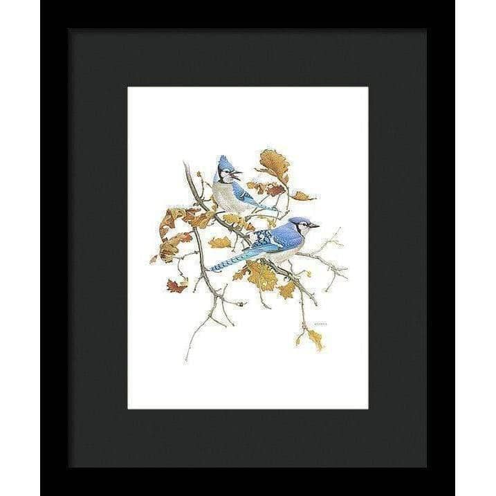 Blue Jays - Framed Print | Artwork by Glen Loates