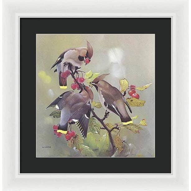 Bohemian Waxwing - Framed Print | Artwork by Glen Loates