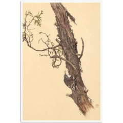 Giclée sur papier