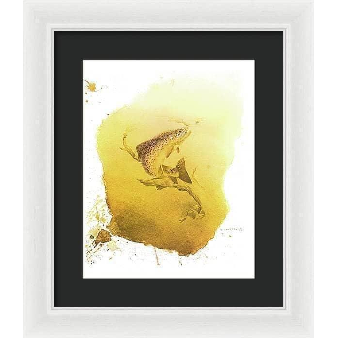 Brown Trout - Framed Print | Artwork by Glen Loates
