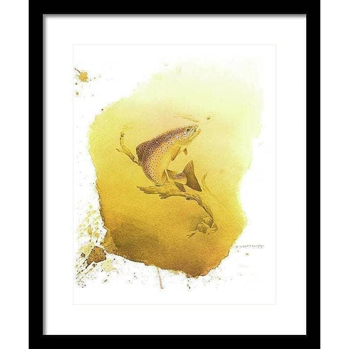 Brown Trout - Framed Print | Artwork by Glen Loates