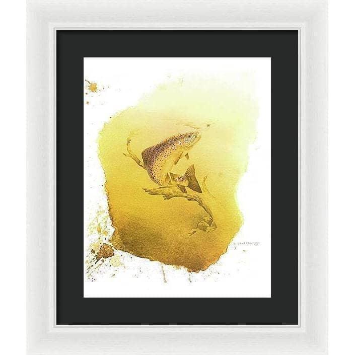 Brown Trout - Framed Print | Artwork by Glen Loates