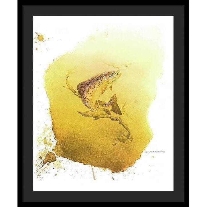Brown Trout - Framed Print | Artwork by Glen Loates