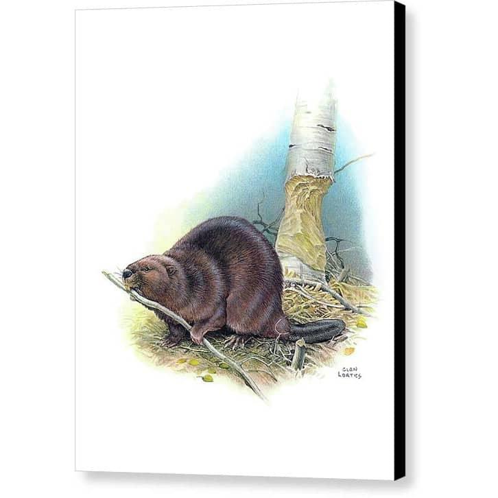 Building Our Future - Canvas Print | Artwork by Glen Loates