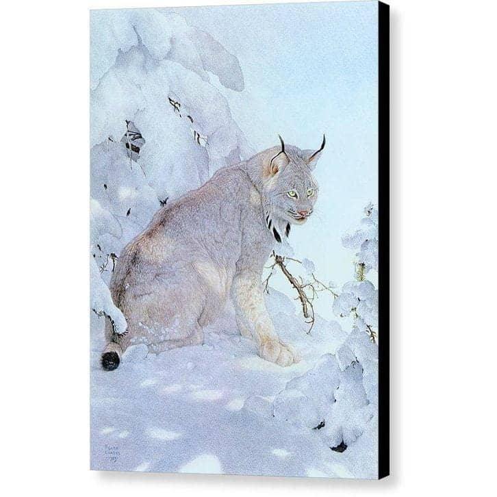 Canada Lynx - Canvas Print | Artwork by Glen Loates