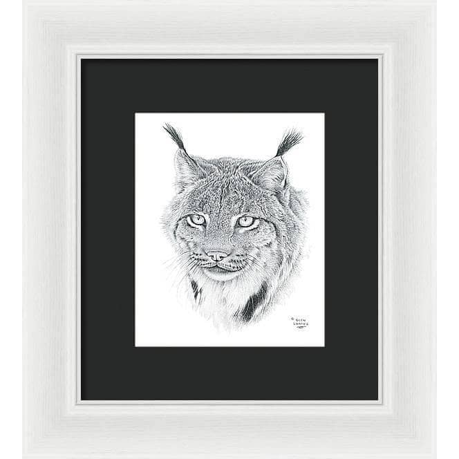 Canada Lynx Portrait - Framed Print | Artwork by Glen Loates