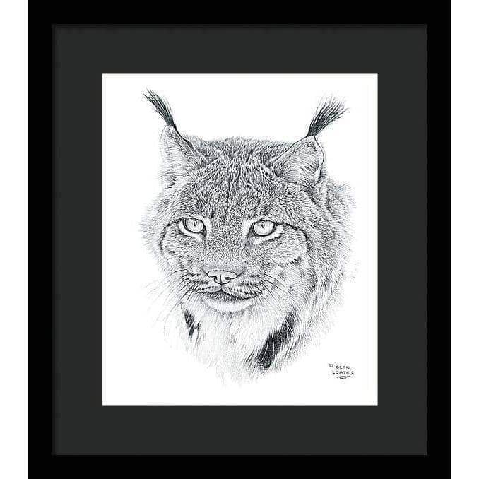 Canada Lynx Portrait - Framed Print | Artwork by Glen Loates