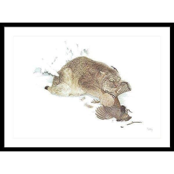 Canada Lynx with Ruffed Grouse- Framed Print | Artwork by Glen Loates